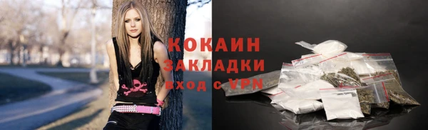 прущий лед Алзамай