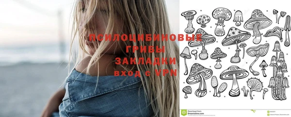 прущий лед Алзамай