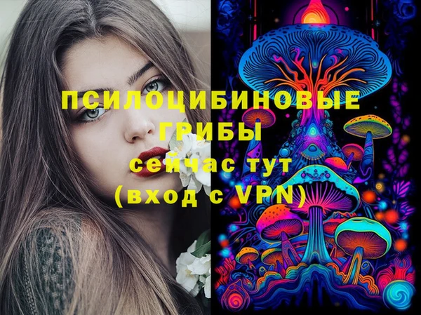 прущий лед Алзамай