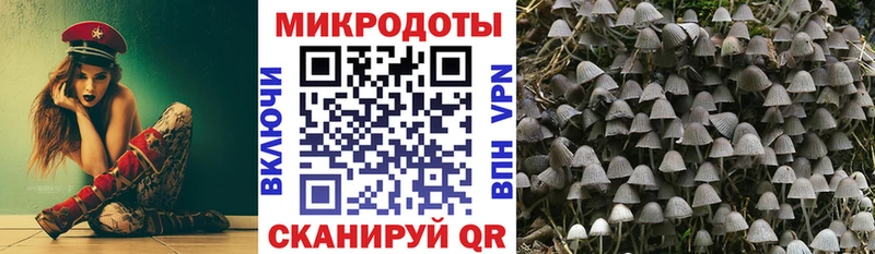 Псилоцибиновые грибы Psilocybe площадка состав Хотьково